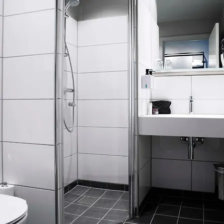 酒店 欧登塞斯堪迪克酒店 4*